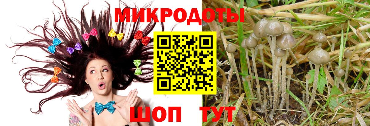 Хабаровск  Псилоцибиновые грибы Psilocybe  Вход с VPN 