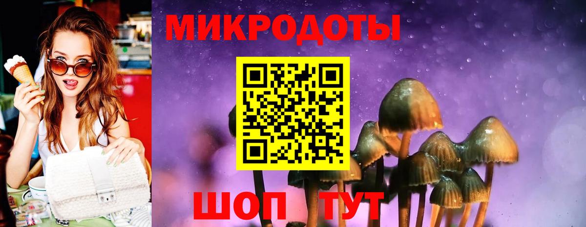 Псилоцибиновые грибы прущие грибы Хабаровск